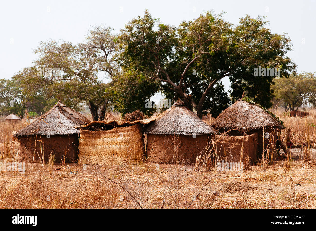 En pisé traditionnel et tatched village de toit sur le territoire frontalier entre le Bénin et le Burkina Faso. Banque D'Images