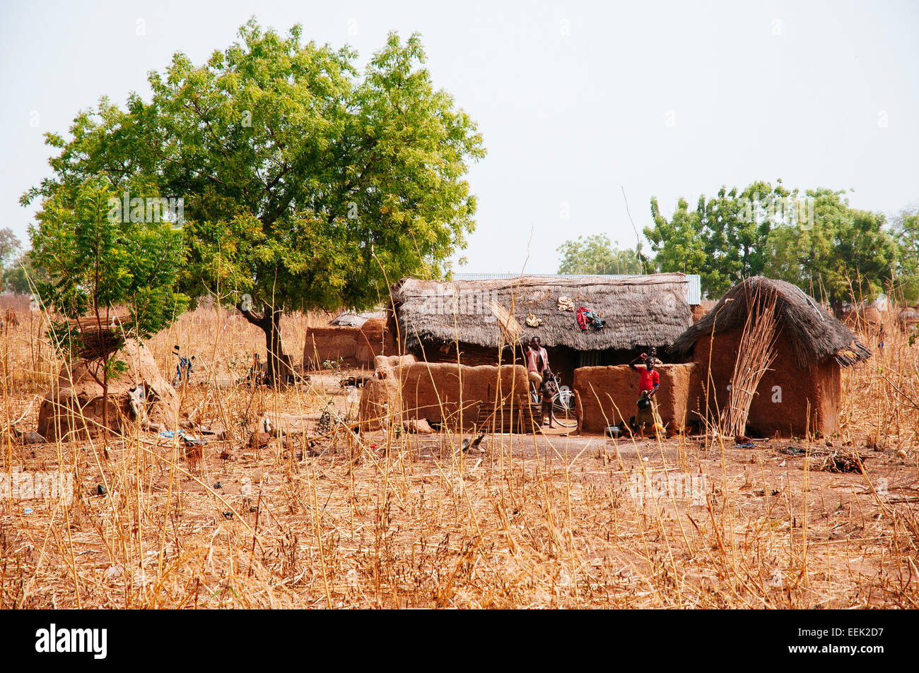 En pisé traditionnel et d'un toit de chaume village sur la frontière entre le Bénin et le Burkina Faso. Banque D'Images