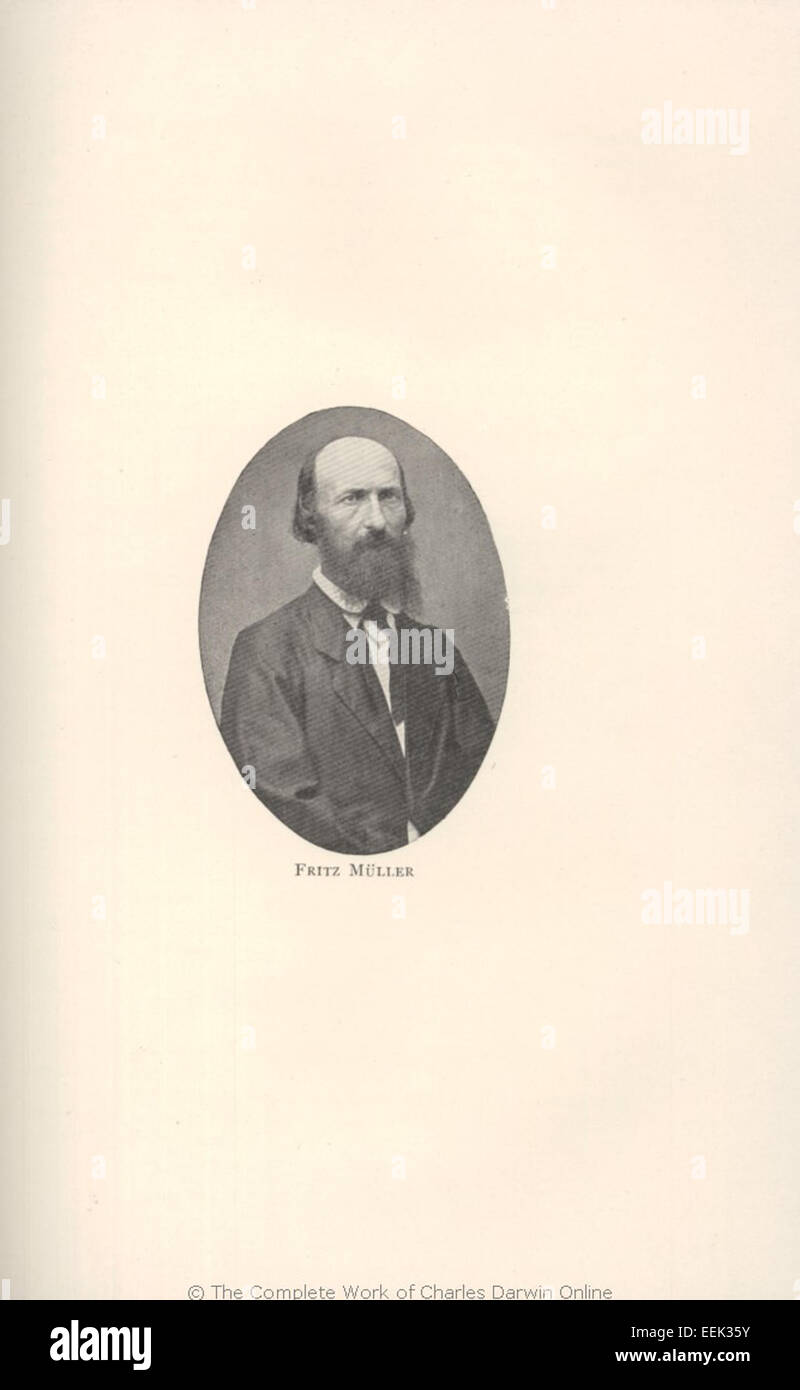 Johann Friedrich Theodor Müller était un biologiste allemand connu pour ses travaux dans le domaine de l'anatomie comparée et ses contributions à la compréhension des invertébrés. Il a également mené des recherches importantes sur la physiologie du système nerveux. Banque D'Images