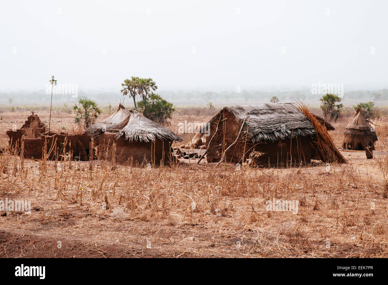 En pisé traditionnel et d'un toit de chaume village sur la frontière entre le Bénin et le Burkina Faso. Banque D'Images