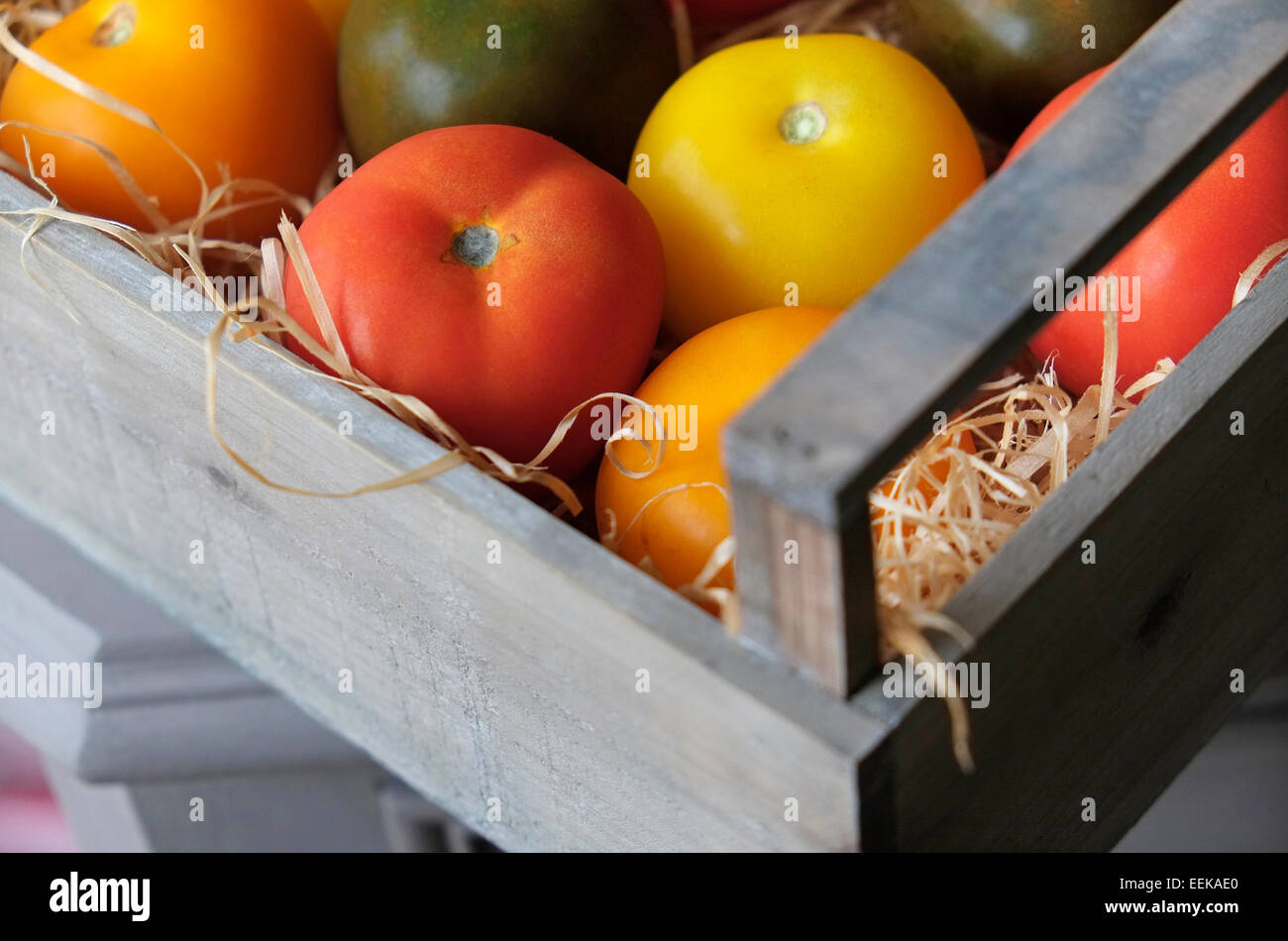 Tomates en boîte en bois coloré Banque D'Images