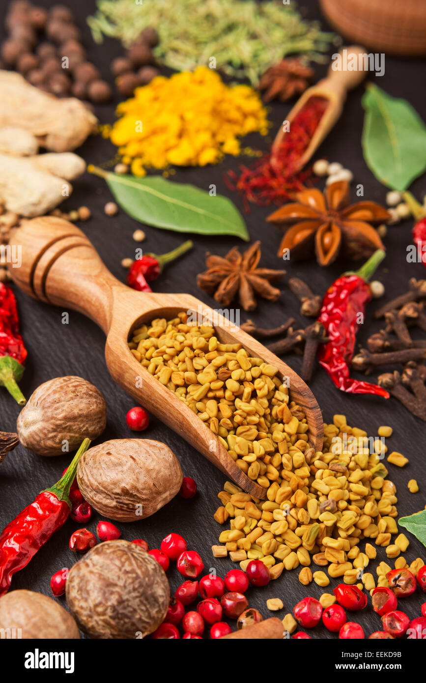 La vie toujours avec différentes épices et fines herbes Banque D'Images