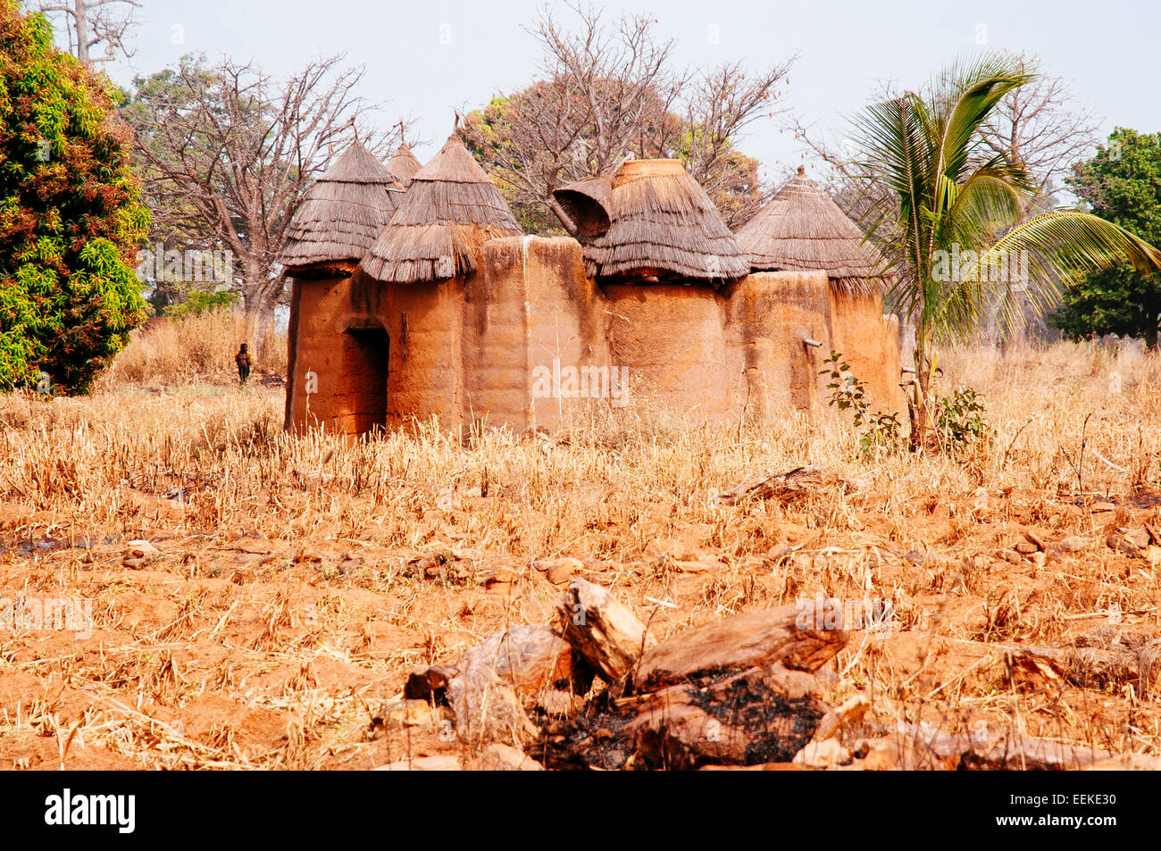 Tata Somba Castle House dans la vallée de Somba, Bénin. Banque D'Images