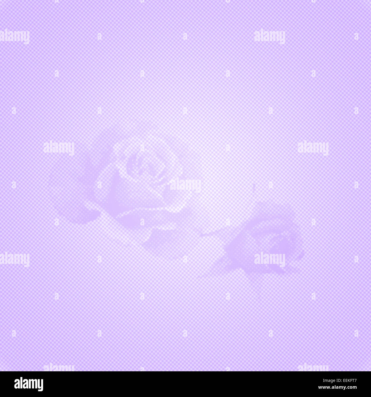 Fond féminin délicat en forme de roses à partir de points sur un gradient dotted background Banque D'Images