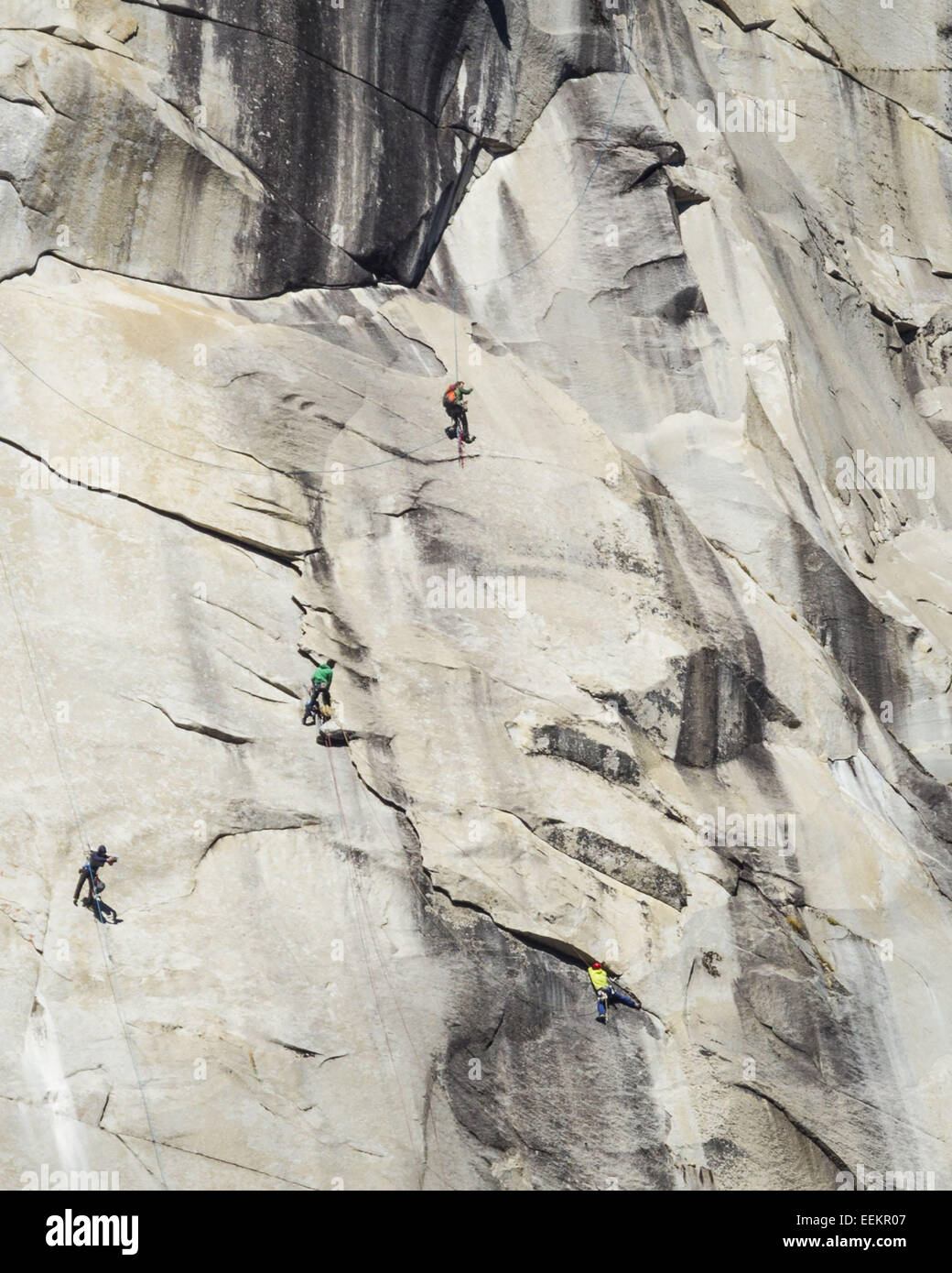 Yosemite National Park, California, USA. 19 Jan, 2015. Le mercredi, Janvier  14, 2015.TOMMY CALDWELL (bas-chemise jaune) travaille son chemin à travers  un difficile alors que son compagnon de cordée, KEVIN JORGESON (centre- chemise