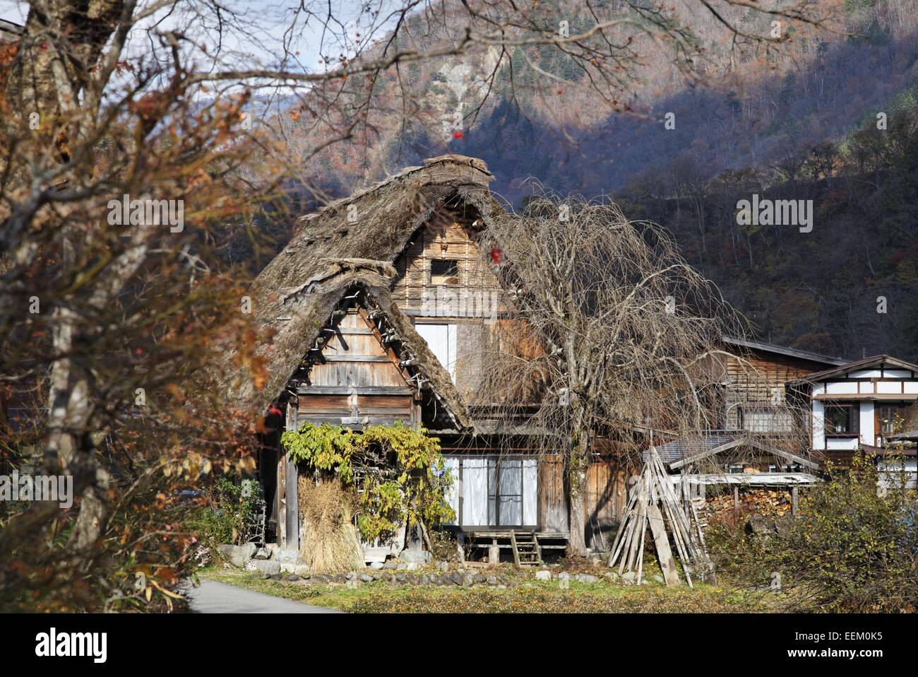 Maisons Gassho-zukuri dans village Shirakawa, Japon Banque D'Images