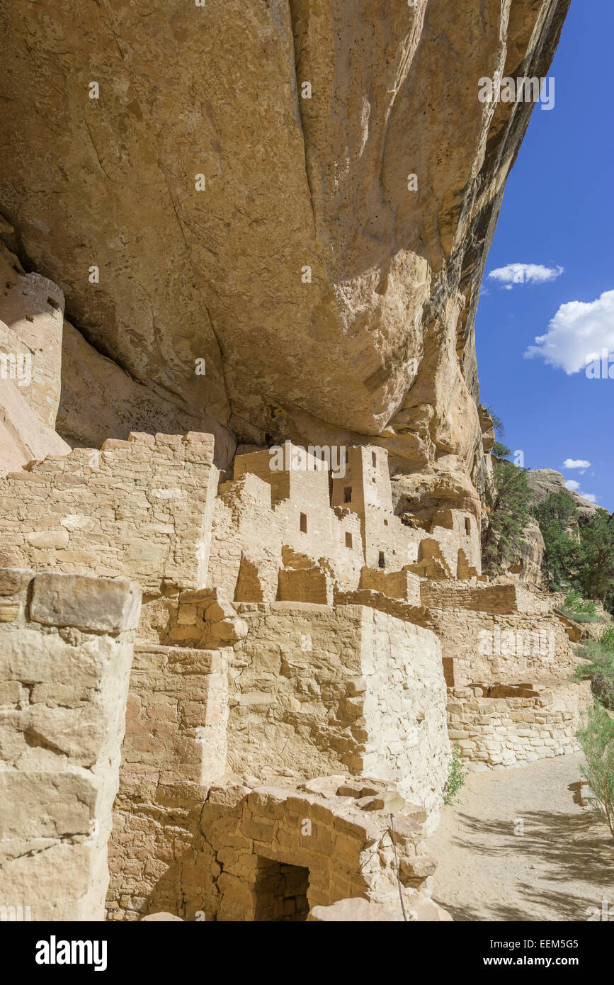 Logement falaise Cliff Palace, le parc national de Mesa Verde, Colorado, United States Banque D'Images