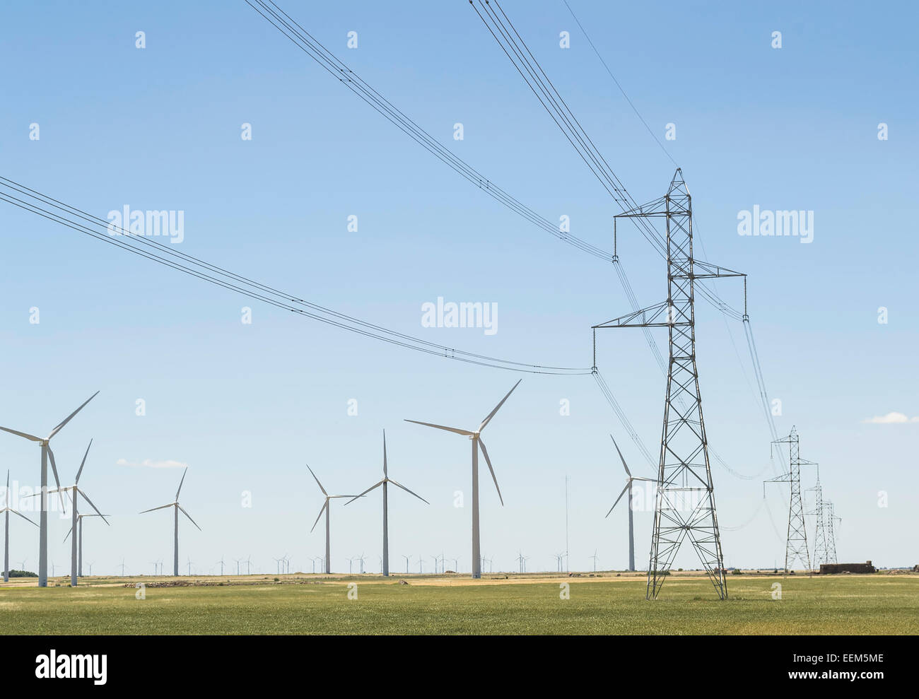 Réseau d'éoliennes avec les lignes électriques et les poteaux électriques infrastructure pour la distribution d'énergie électrique Banque D'Images