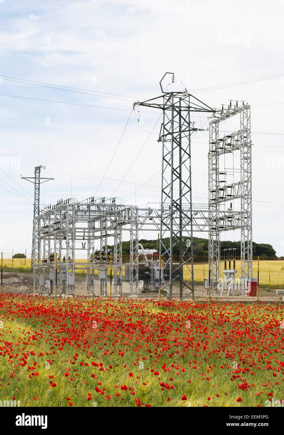 L'équipement électrique d'une centrale électrique au milieu d'un champ de coquelicots Banque D'Images