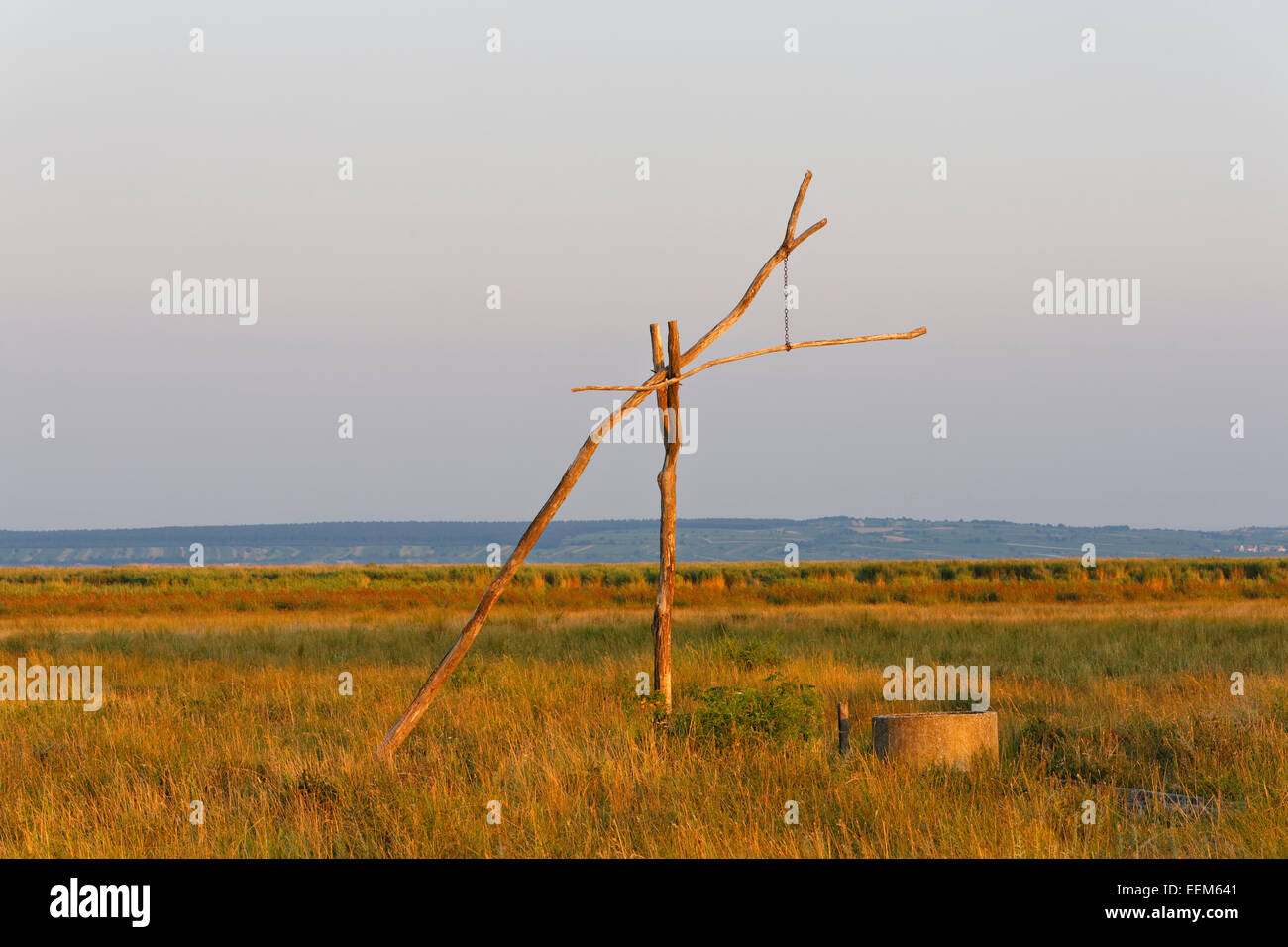 Dimensions bien dans la lumière du matin, le lac de Neusiedl parc national, Seewinkel, Illmitz, Nord de Burgenland, Burgenland, Autriche Banque D'Images