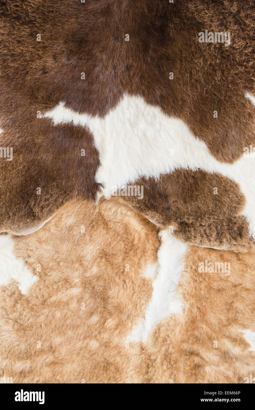 La peau animale naturelle , étirés et tanné avec des variations de couleur marron , fond Banque D'Images