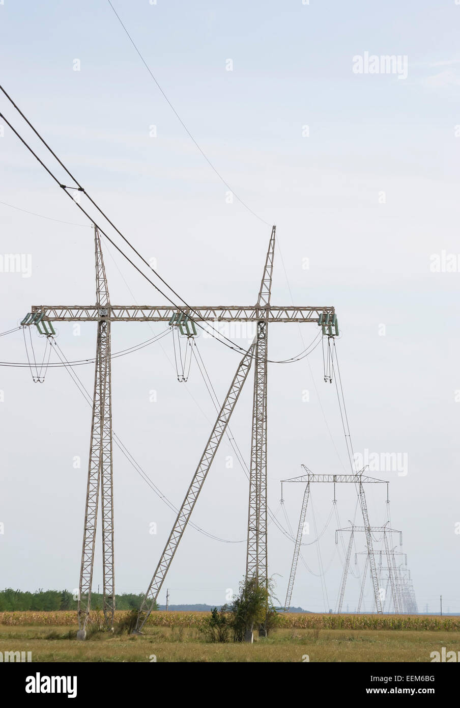 Paysage industriel avec un réseau étendu de lignes à haute tension pour la distribution d'énergie, de la perspective vue de côté Banque D'Images