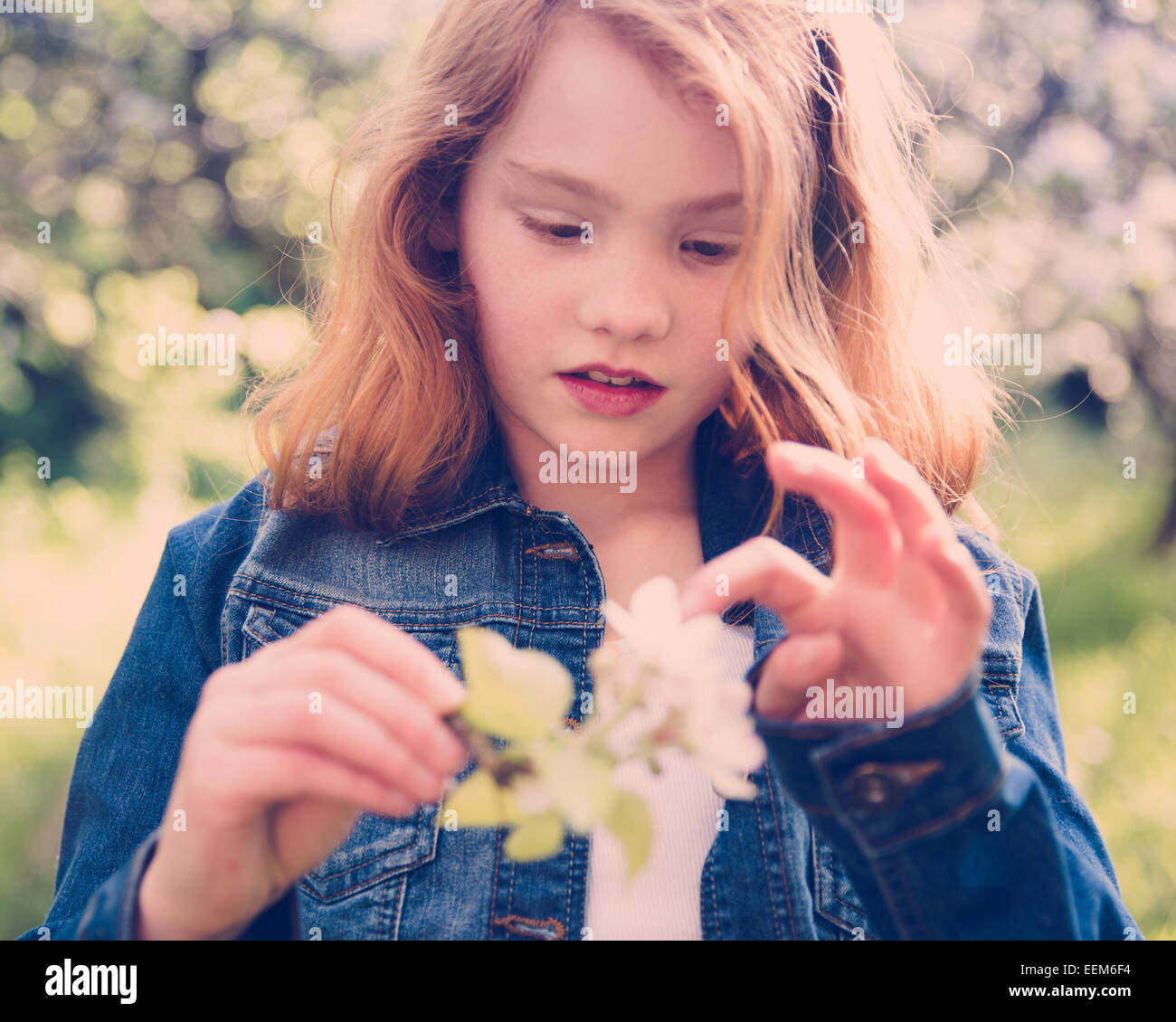 Fille jouant avec Verger en fleur Banque D'Images