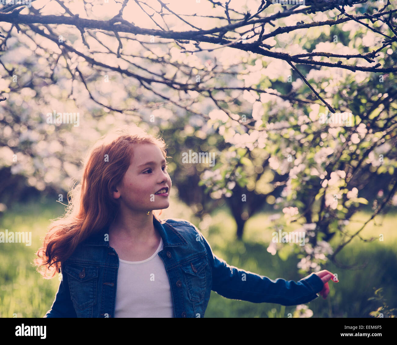 Fille qui marche à travers Verger en fleurs Banque D'Images