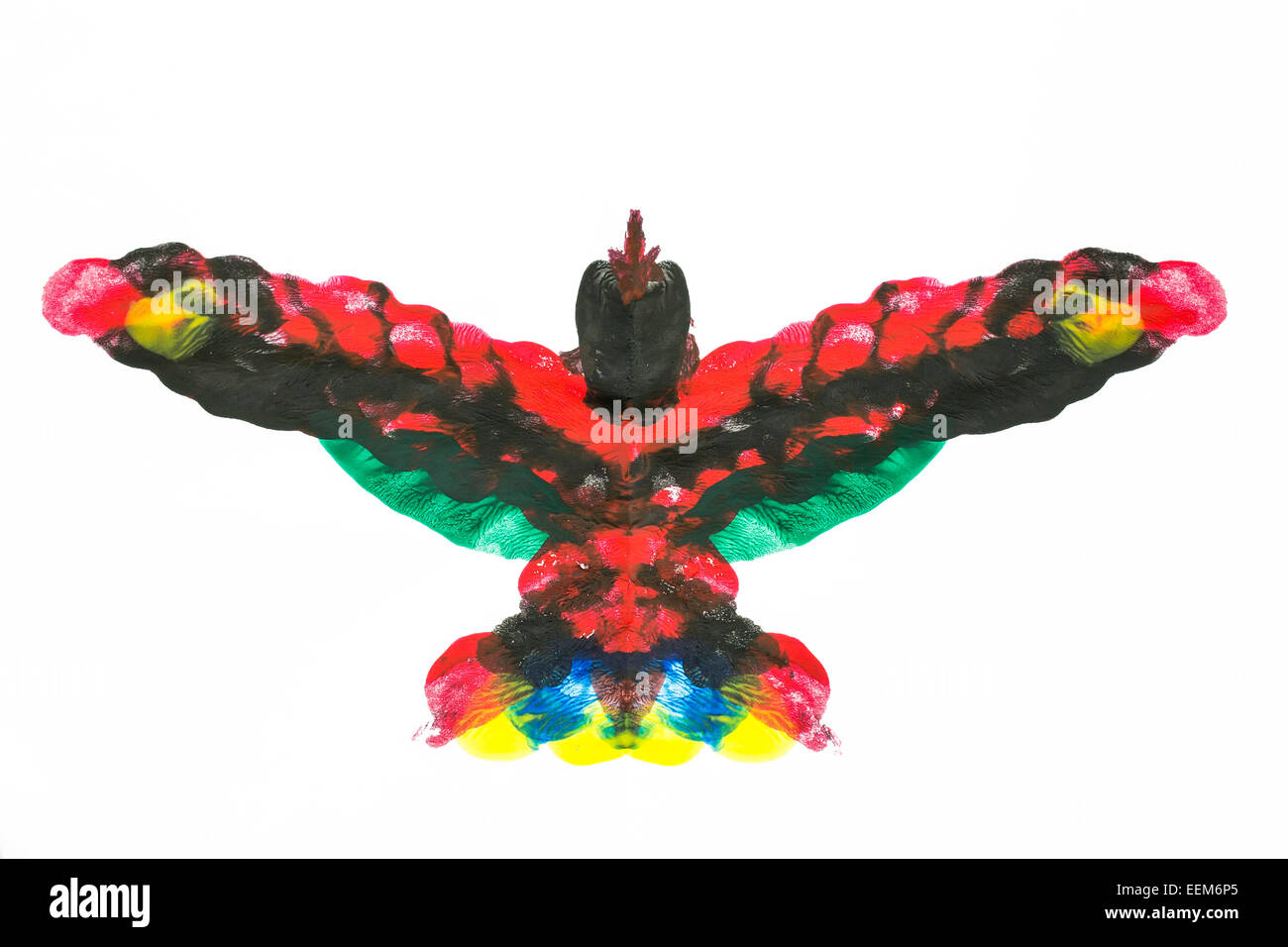 Forme abstraite multicolore semblable à un oiseau exotique faite de mélange de peinture acrylique symétriques, isoler les couleurs sur whit Banque D'Images