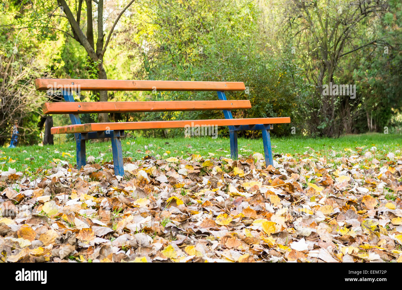Établi dans un parc avec couche de feuilles mortes en face, décor spécifique à la saison d'automne Banque D'Images