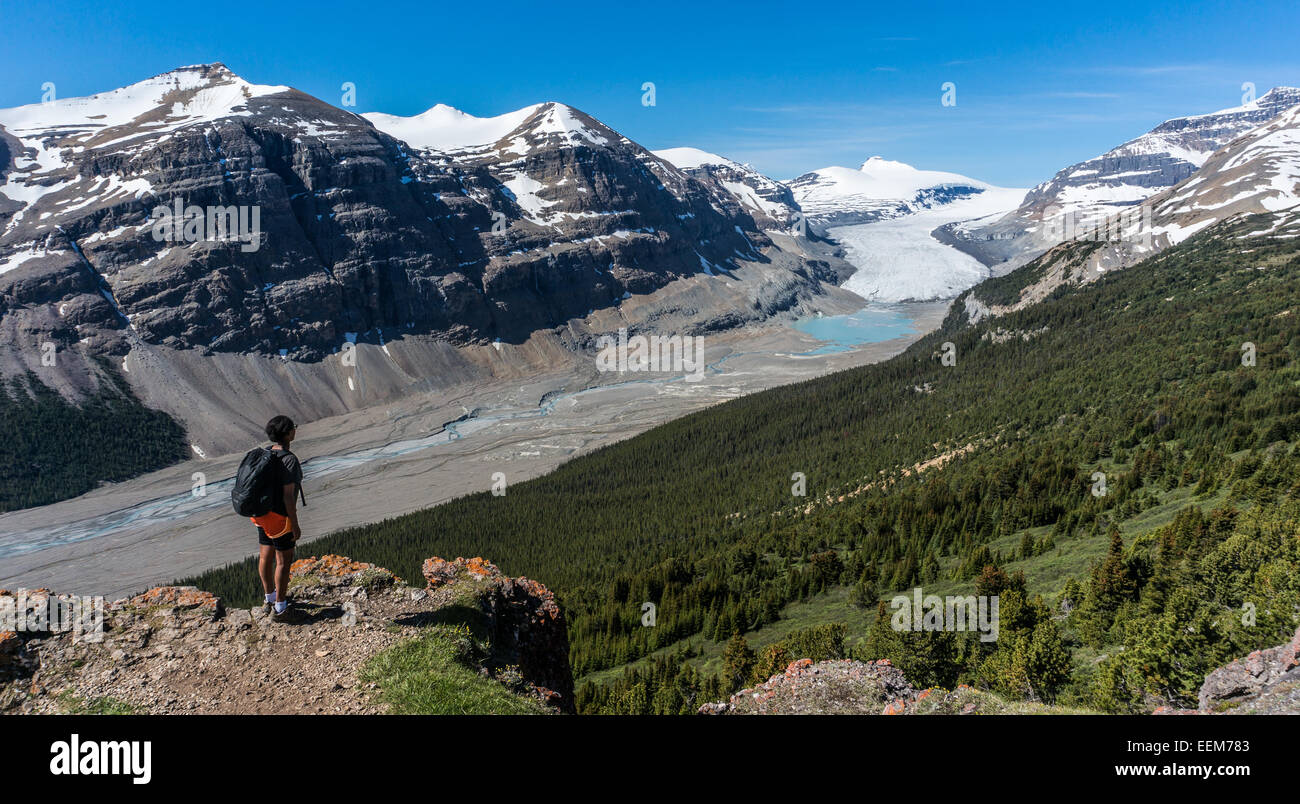 Le Canada, l'Alberta, parc national de Banff, glacier Saskatchewan et la vallée, Canadian Rockies, randonneur de montagne de Banque D'Images