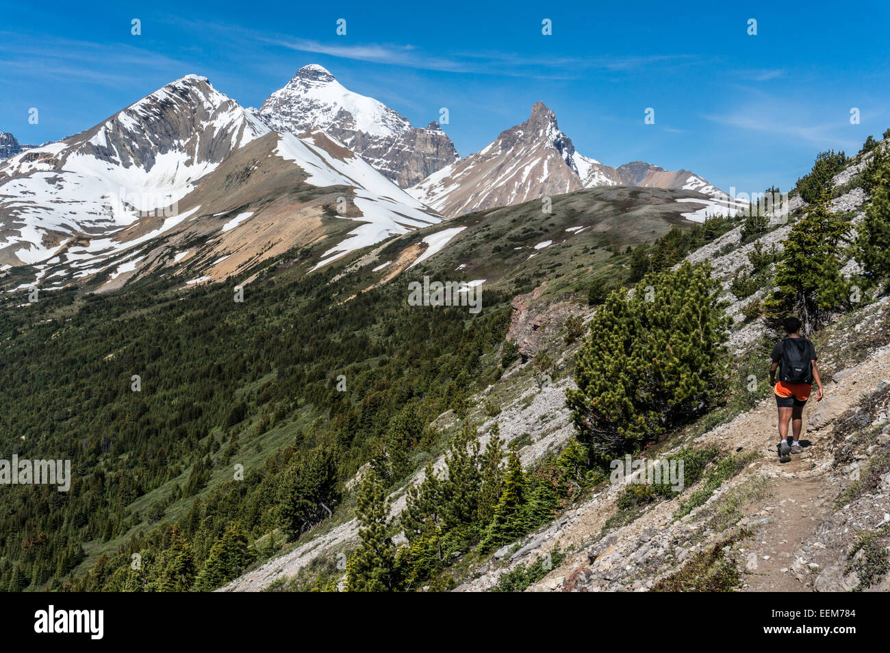 Le Canada, l'Alberta, parc national de Banff, Canadian Rockies, randonneur marchant le long mountain Banque D'Images