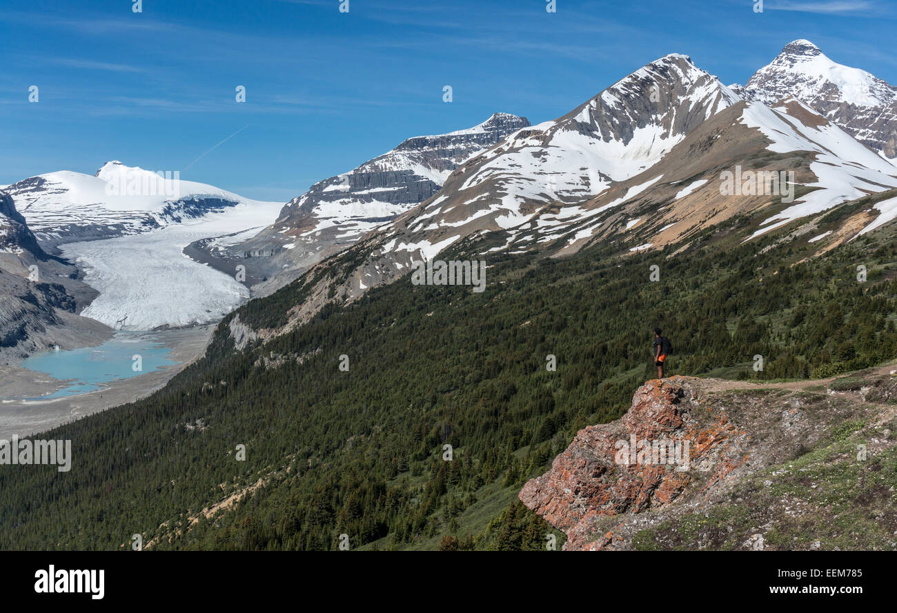 Le Canada, l'Alberta, parc national de Banff, glacier Saskatchewan et la vallée, Canadian Rockies, randonneur de montagne de Banque D'Images