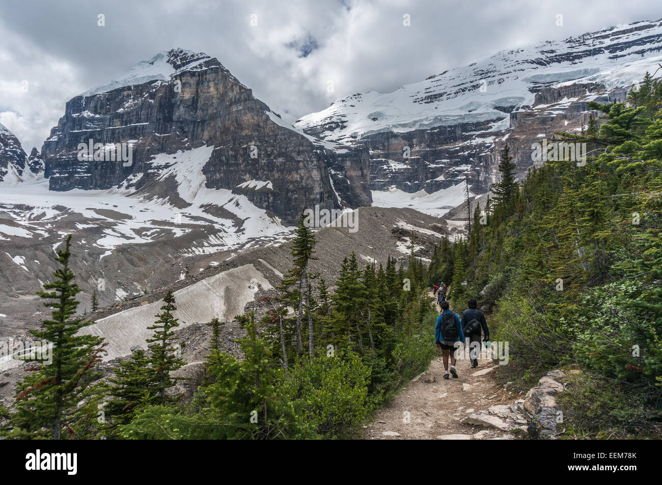 Parc national de Banff, Canada, Canadian Rockies, la plaine des Six Glaciers, vue arrière de randonneurs marchant le long trail Banque D'Images
