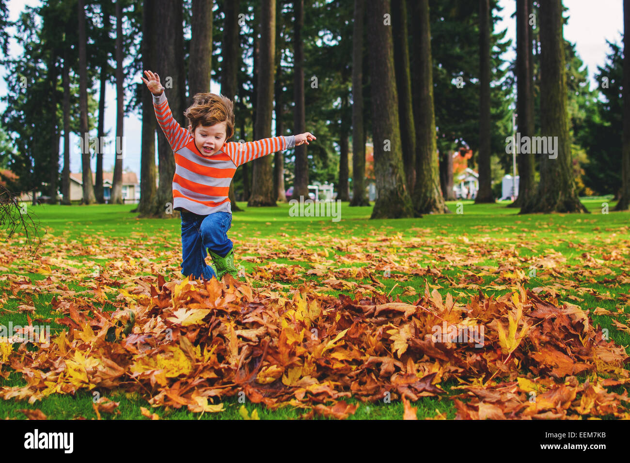 Garçon jouant avec des feuilles d'automne dans le jardin, États-Unis Banque D'Images