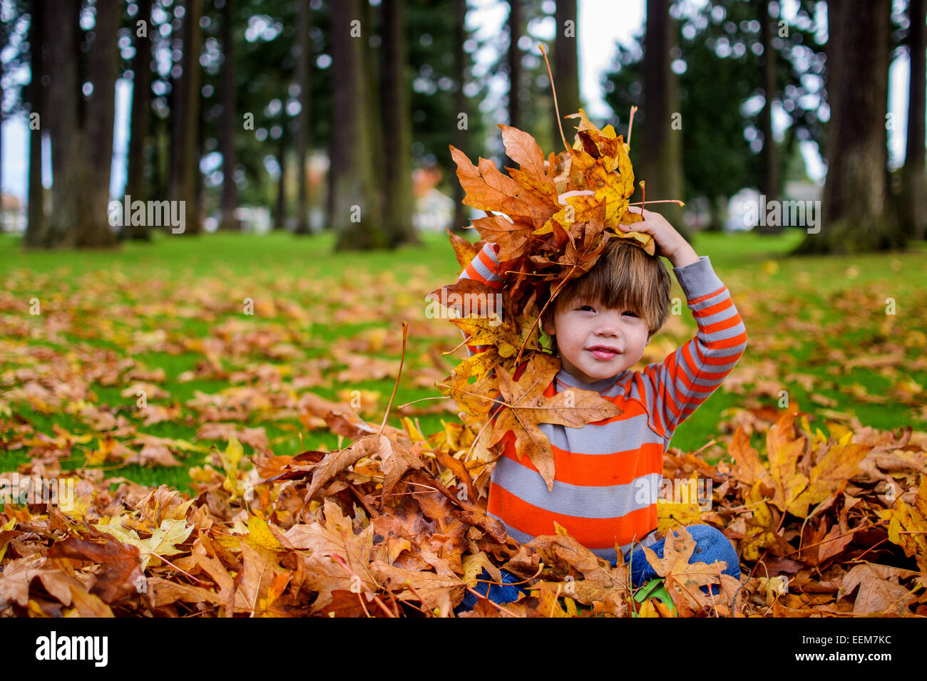 Garçon jouant avec des feuilles d'automne dans le jardin, États-Unis Banque D'Images