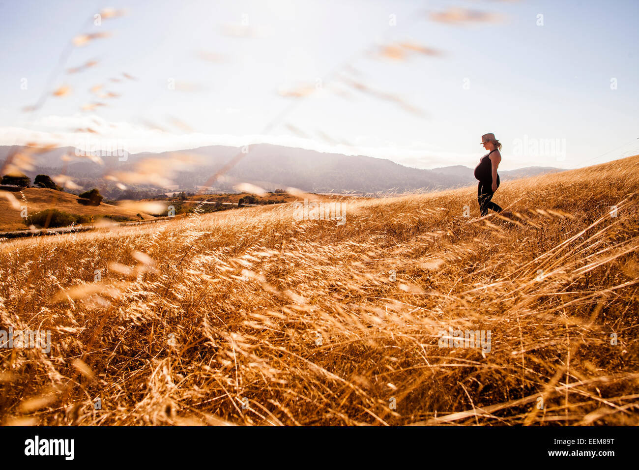 Pregnant Caucasian woman walking in rural meadow Banque D'Images
