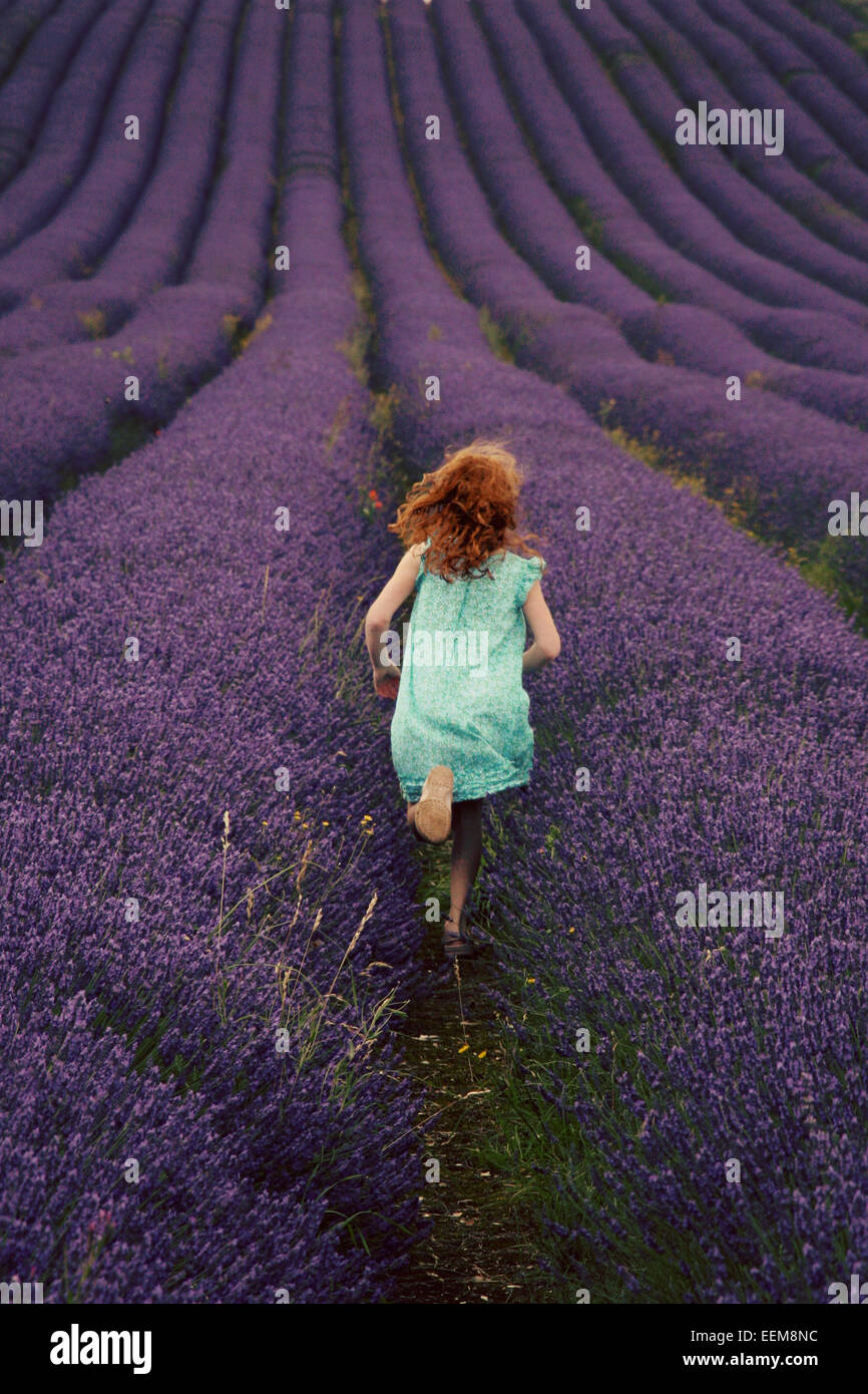 Vue arrière de girl (6-7) grâce à l'exécution de champ de lavande Banque D'Images