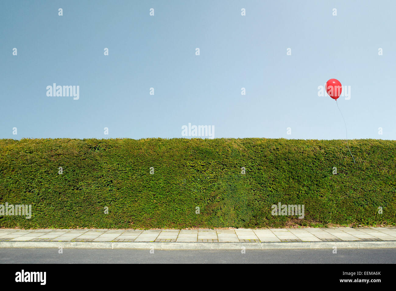 Ballon rouge flottant au-dessus de haies taillées soigneusement Banque D'Images