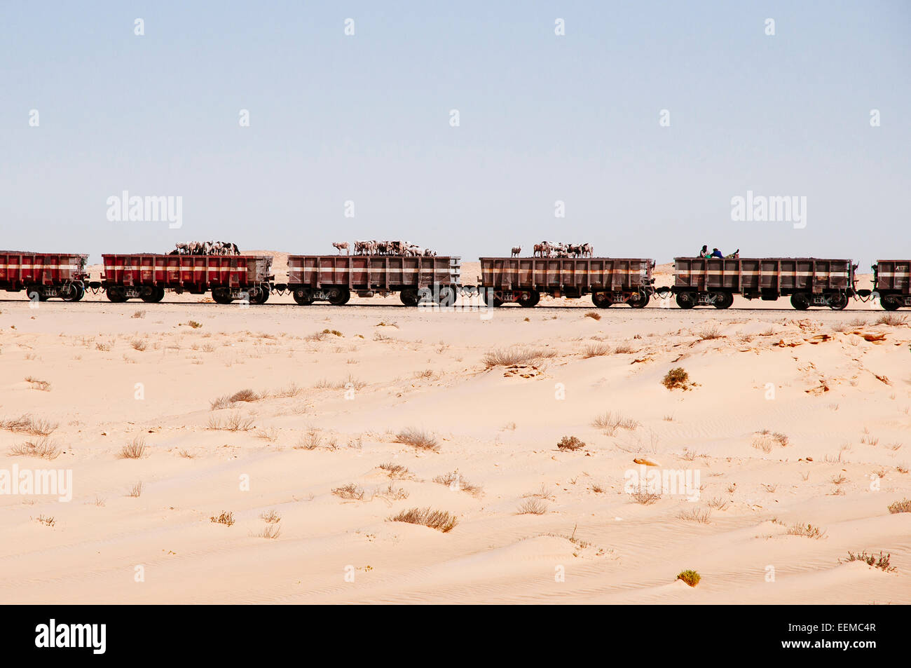 Le minerai de fer Express est plus long train dans le monde et des navettes personnes animaux et ore du désert à la côte, la Mauritanie. Banque D'Images