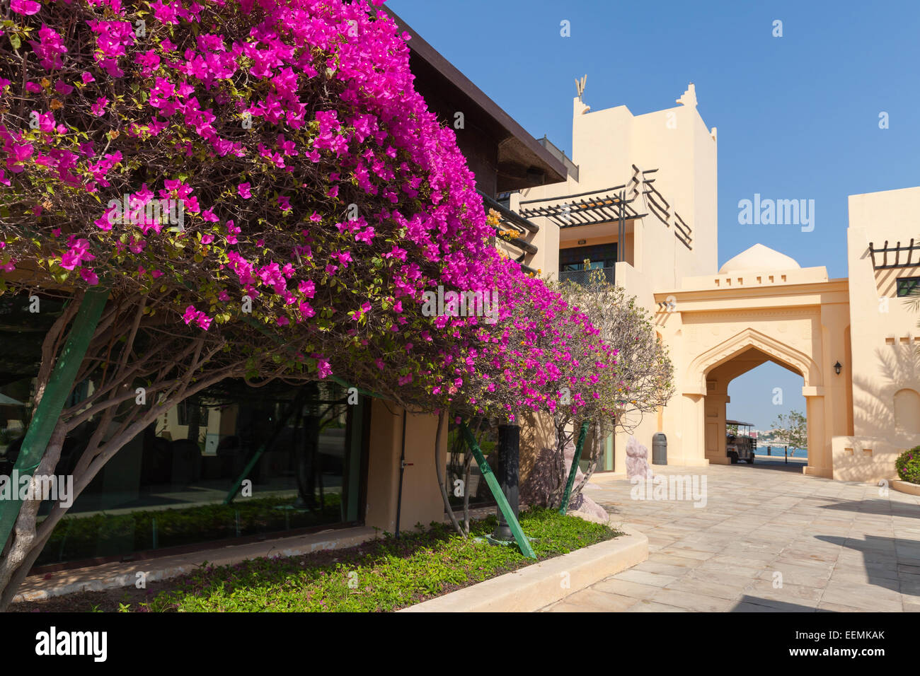 Maison Jaune avec passage de style arabe classique et arbustes à fleurs roses Banque D'Images