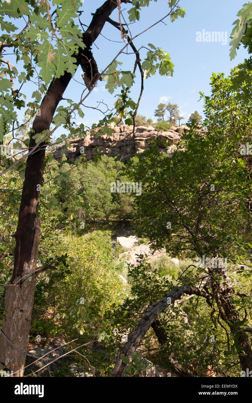 Un vista à Castlewood Canyon State Park, Colorado Banque D'Images