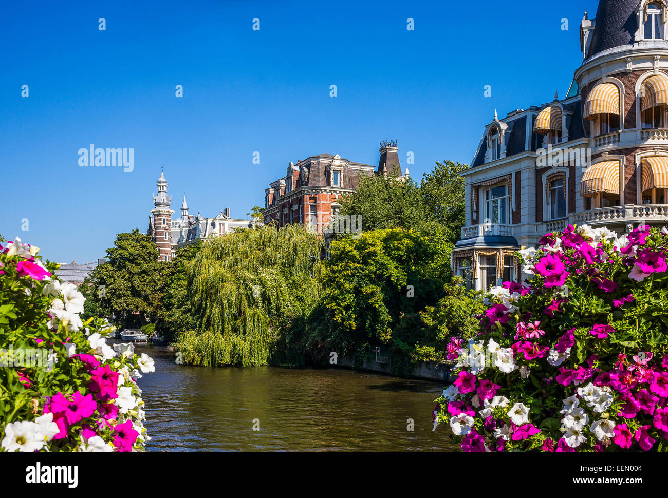 Amsterdam, maisons élégantes et de fleurs sur le Weteringschan près du Rijksmuseum Banque D'Images