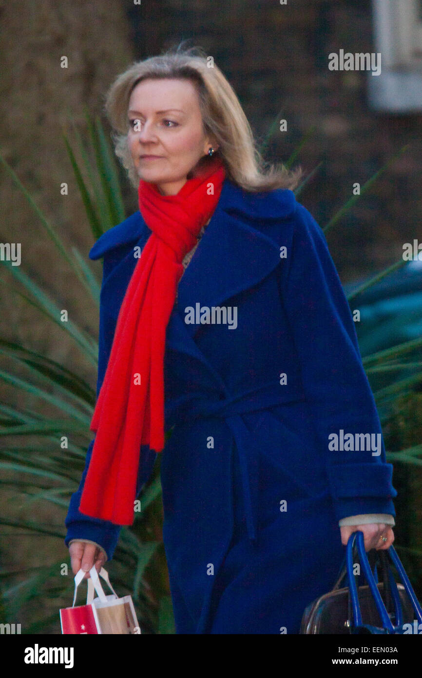 Downing Street, London, UK. Le 20 janvier, 2015. Les ministres ont assister à la réunion hebdomadaire du cabinet à Downing Street. Sur la photo : Elizabeth Truss, député, secrétaire d'État à l'environnement, de l'Alimentation et des Affaires rurales Crédit : Paul Davey/Alamy Live News Banque D'Images