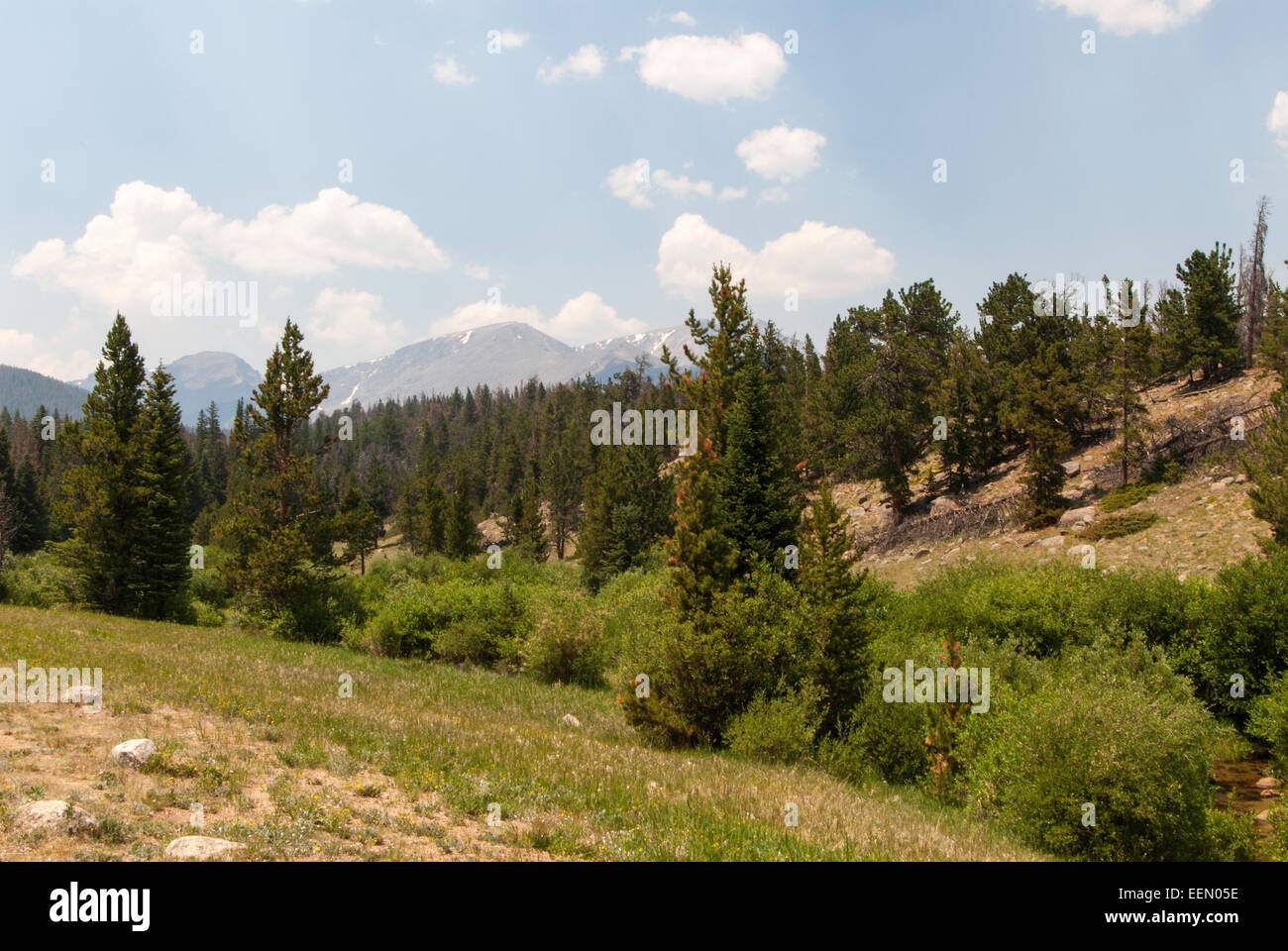 Un vista en Rocky Mountains National Park Banque D'Images