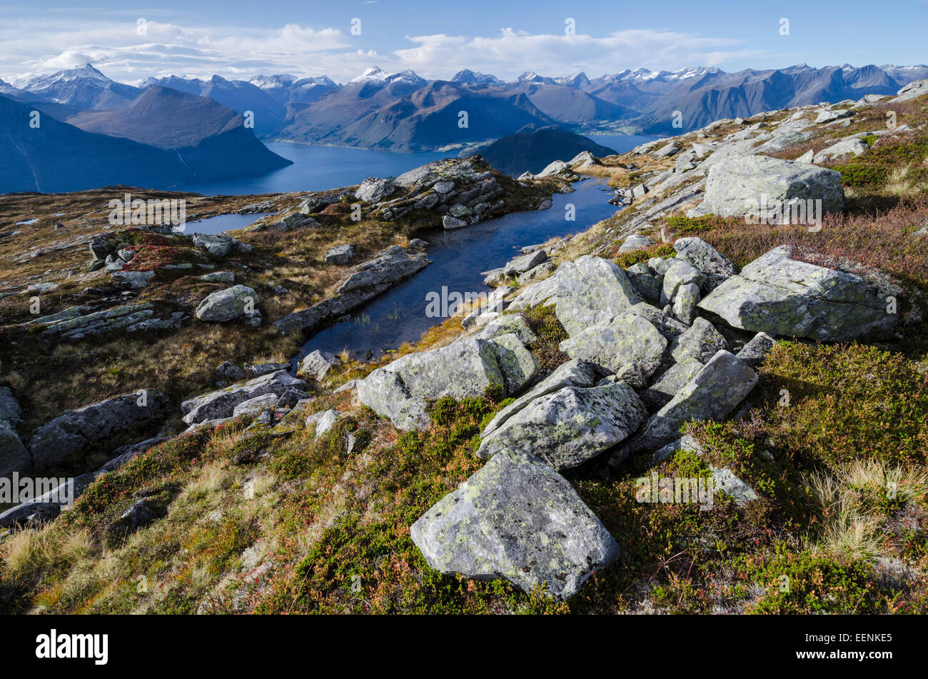 Blick zum Romsdalsfjorden, Romsdalen und Romsdal Fylke, Moere, Vestland, Norwegen, Septembre 2011 Banque D'Images