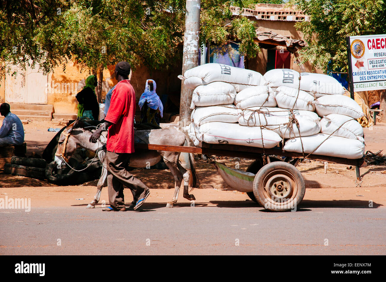 Homme transportant des sacs, sur des ânes, au Burkina Faso. Banque D'Images