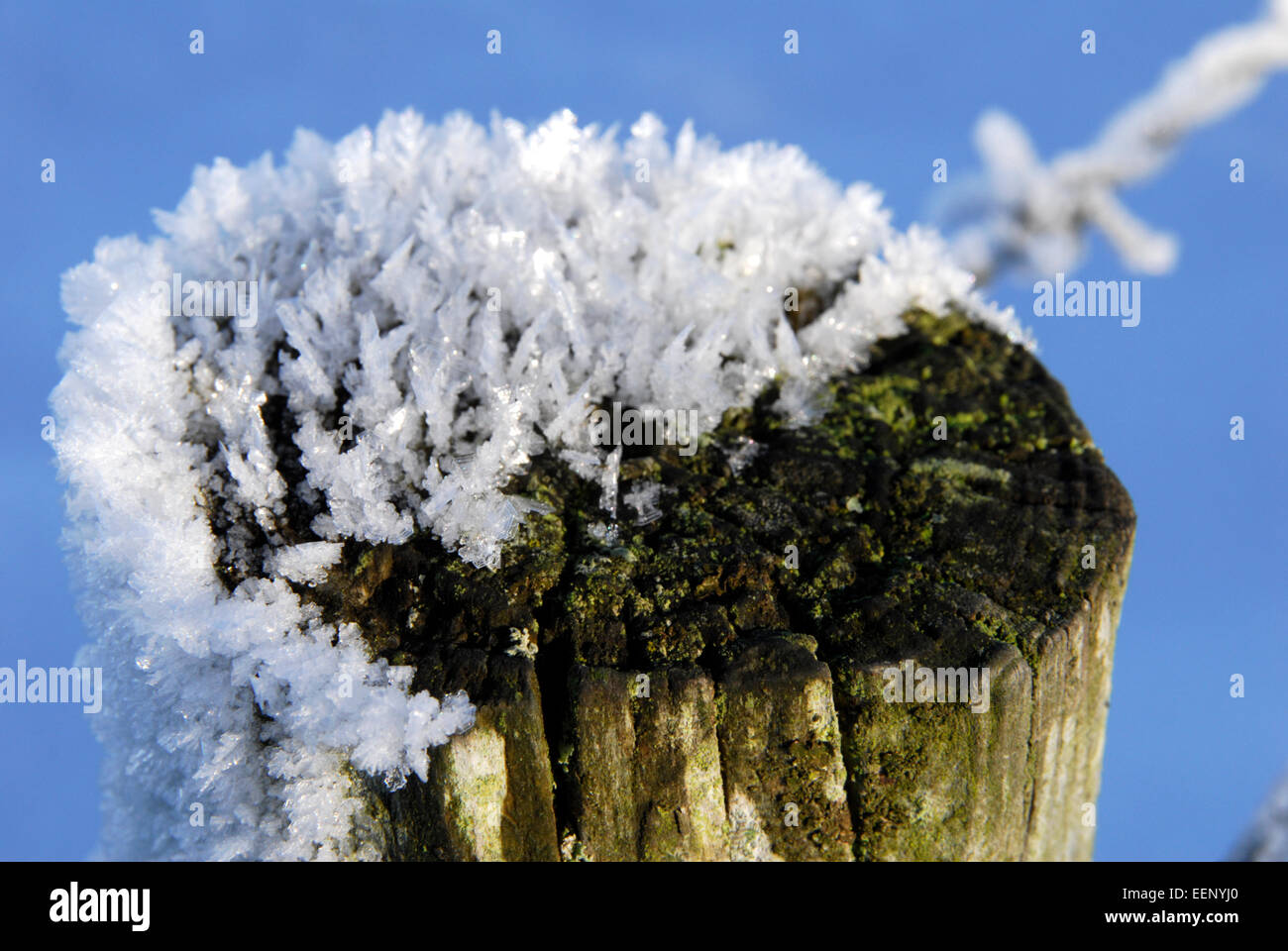 Les flocons de neige s'installe sur un poteau de clôture au cours de l'hiver britannique Banque D'Images