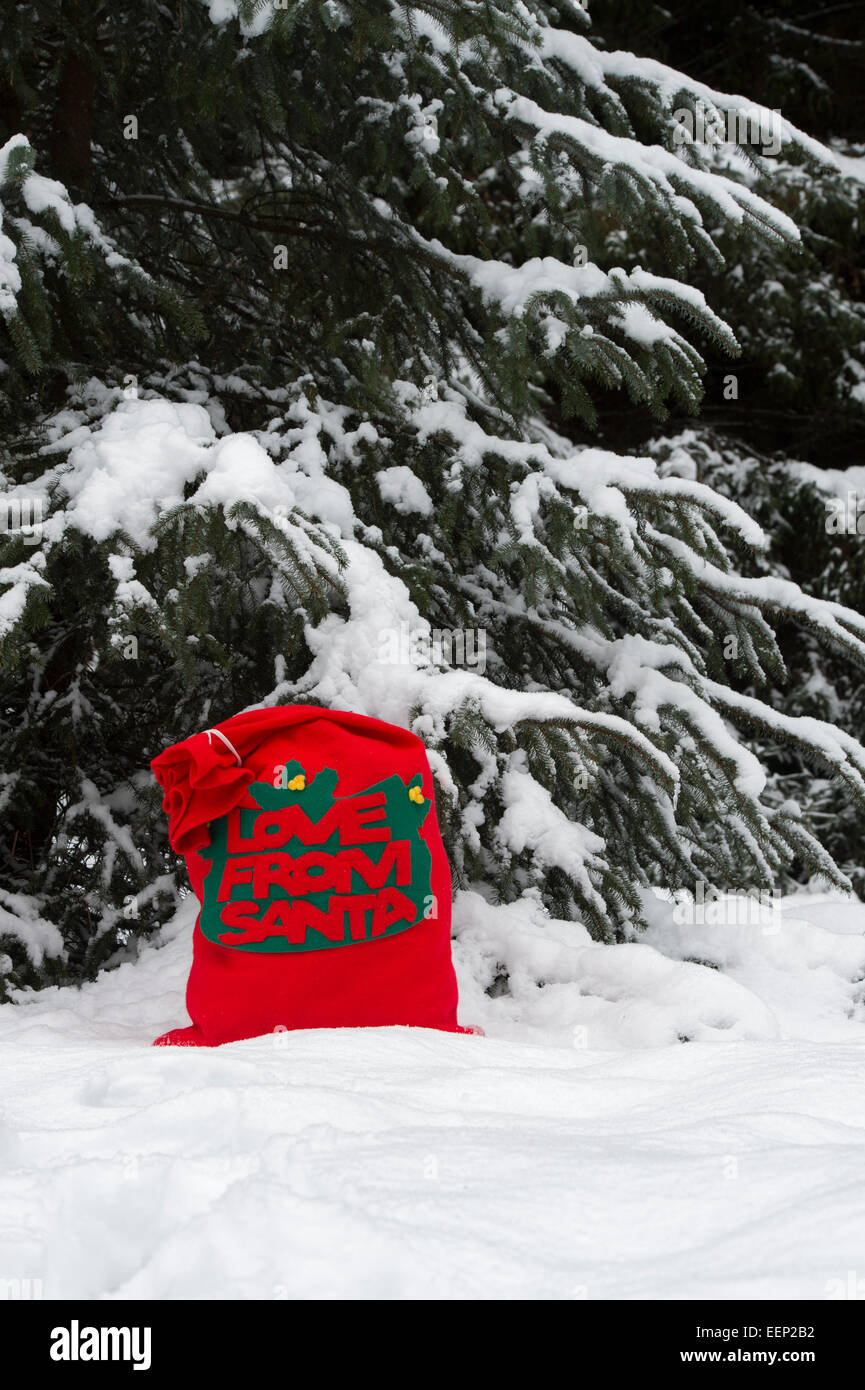 L'amour du Père Noël sac dans la neige en face de pins couverts de neige Banque D'Images