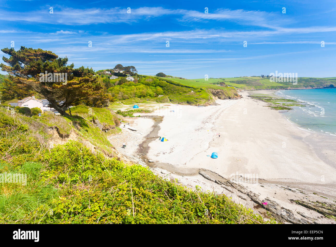 Donnant sur Pendower Beach sur la péninsule de Roseland Cornwall England UK Banque D'Images