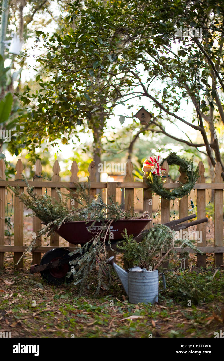 Un arrosoir d'étain et de branches de pin dans une brouette reste à côté d'une clôture. Banque D'Images