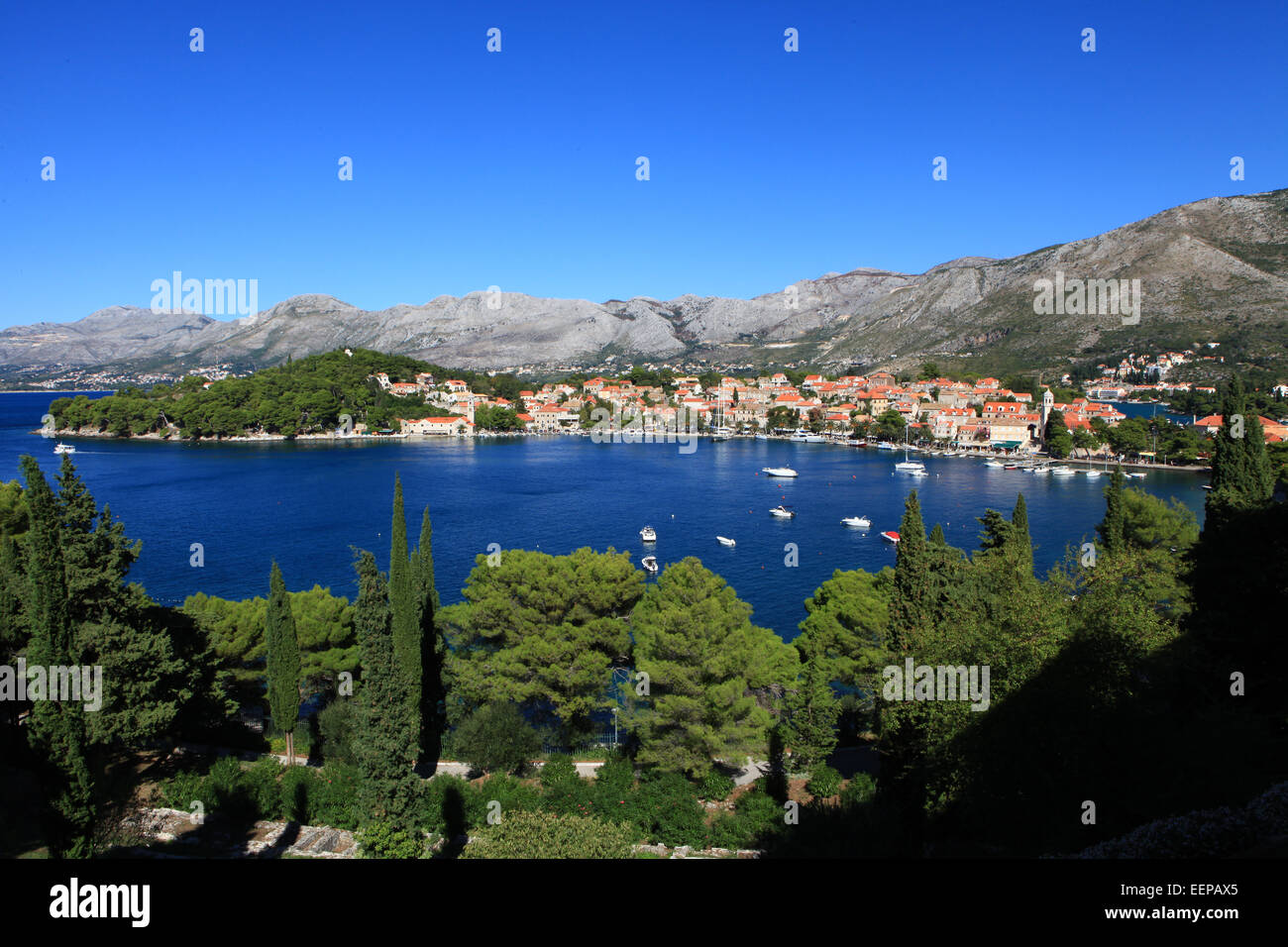 Cavtat, Croatie Port avec bateaux dans Port, Restrants, eau, Yachts, Mer Adreatic ; Europe centrale ; Europe du sud-est ; et e Banque D'Images