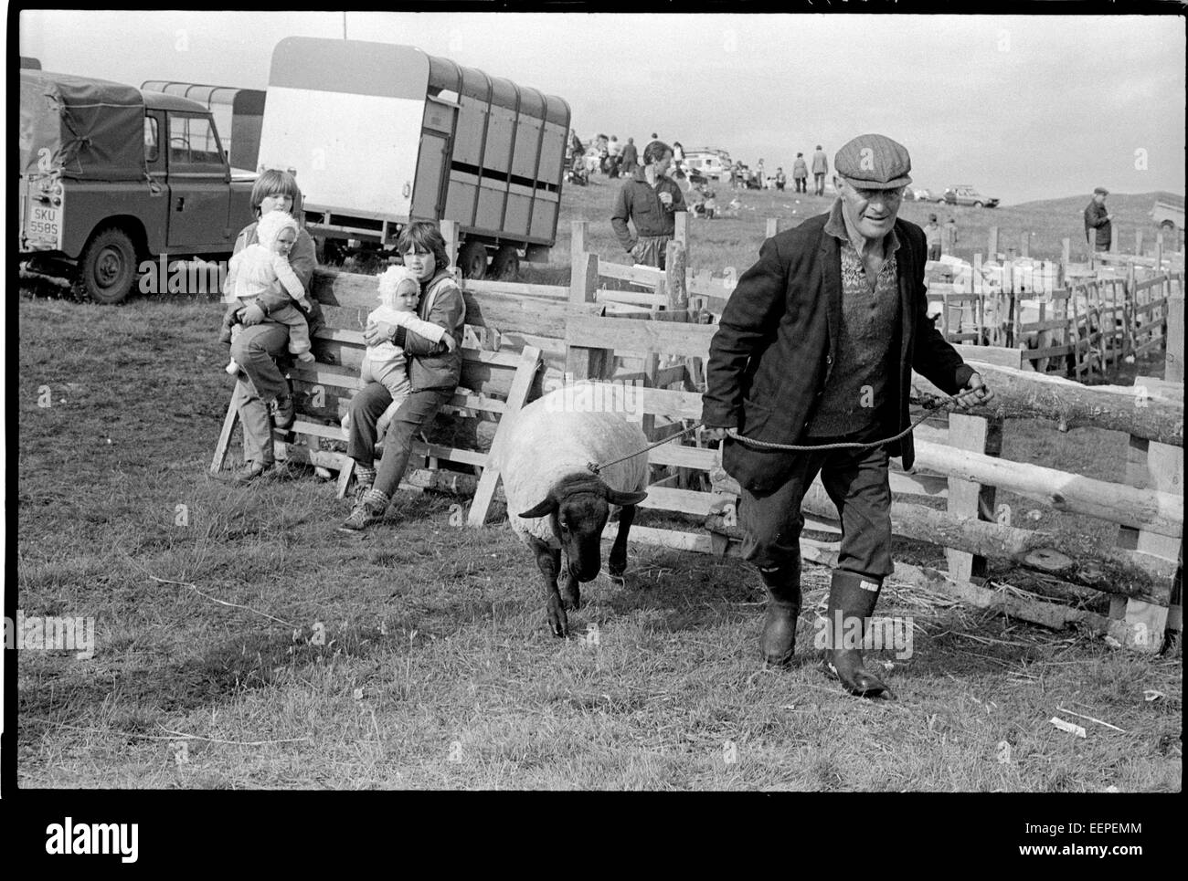 Salon de l'agriculture, Shetland. Banque D'Images