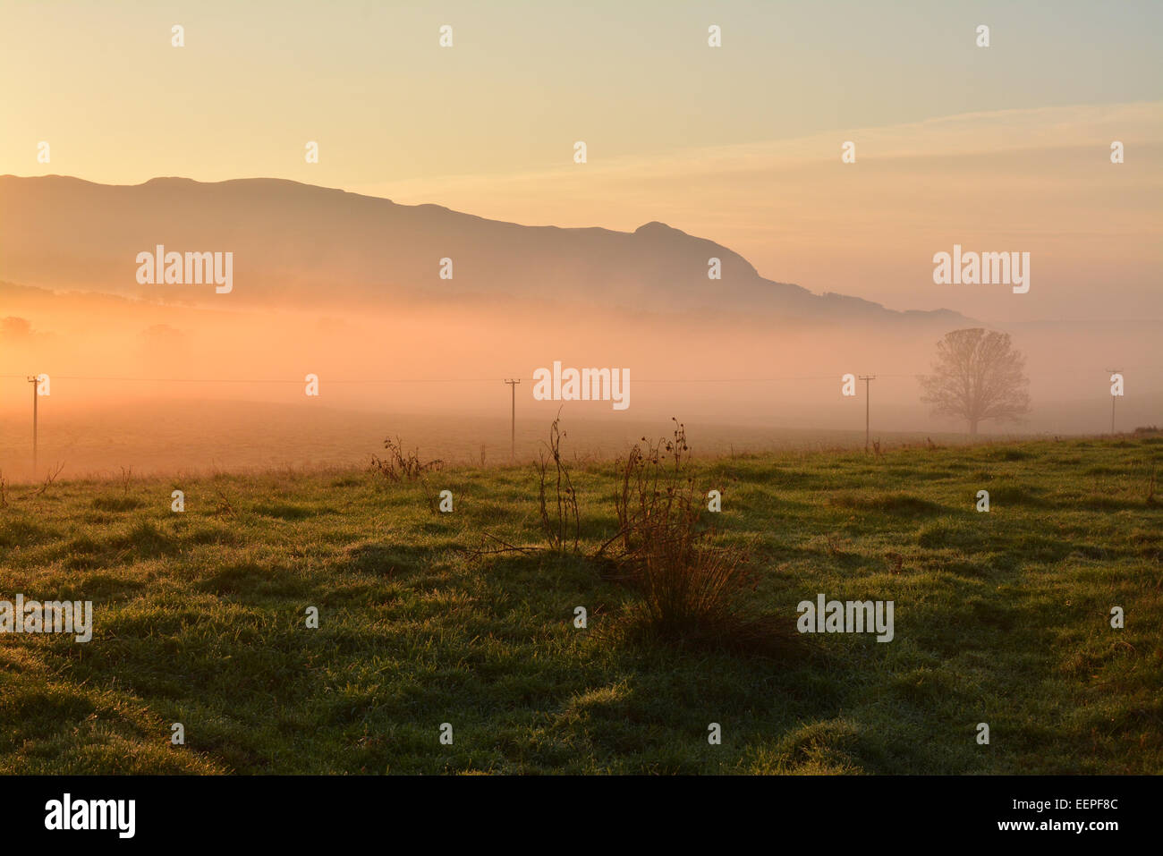 Lever du soleil sur les Campsie rural Hills au nord de Glasgow, Écosse, Royaume-Uni Banque D'Images