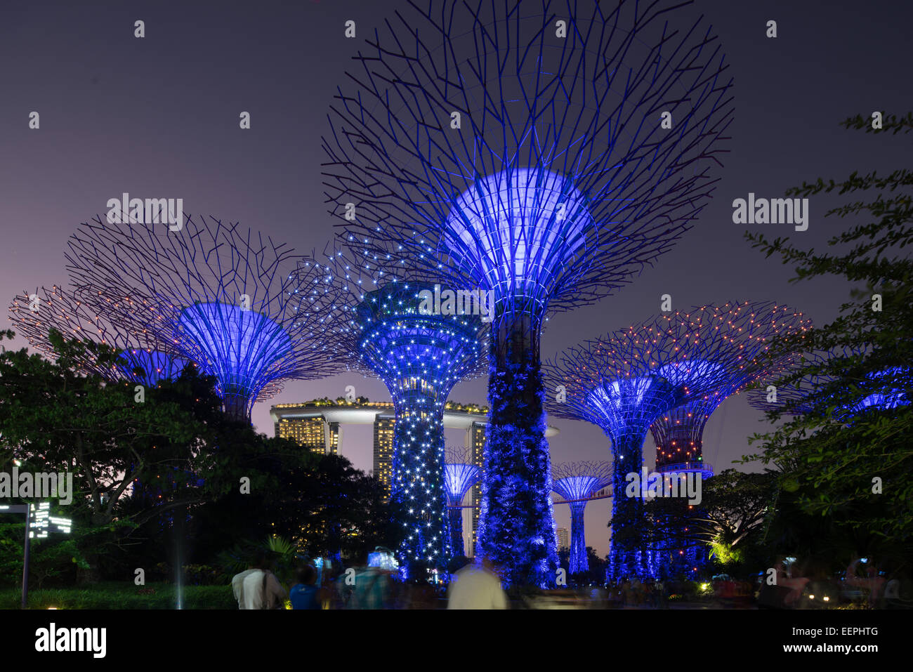 Gardens by the Bay Tree Grove et Super, Marina Bay, Singapour. Banque D'Images
