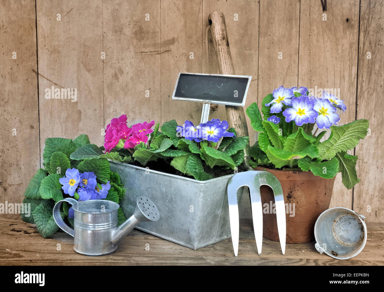 Pot de fleurs et accessoires de jardinage sur fond de bois Banque D'Images