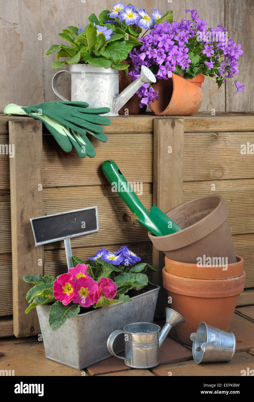 Pot de fleurs et accessoires de jardinage sur fond de bois Banque D'Images