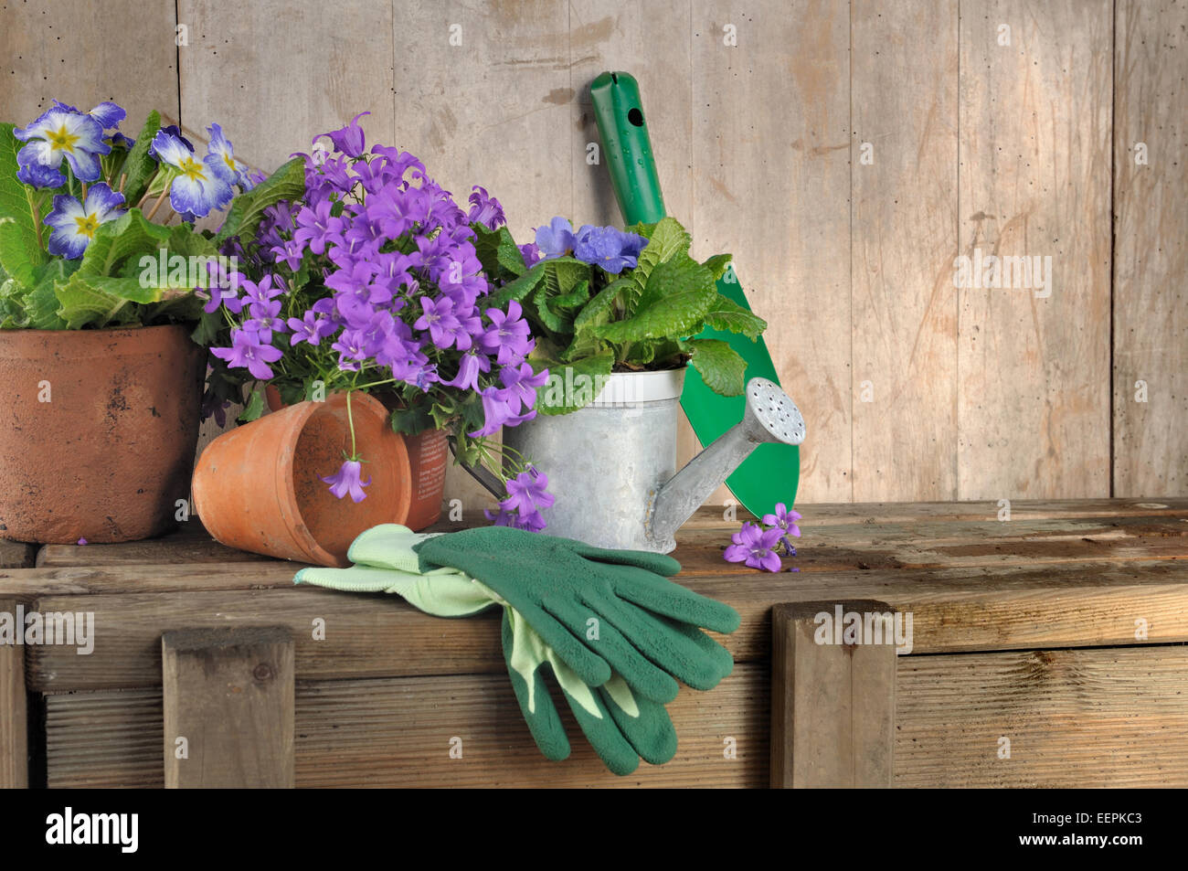 Pot de fleurs et accessoires de jardinage sur fond de bois Banque D'Images