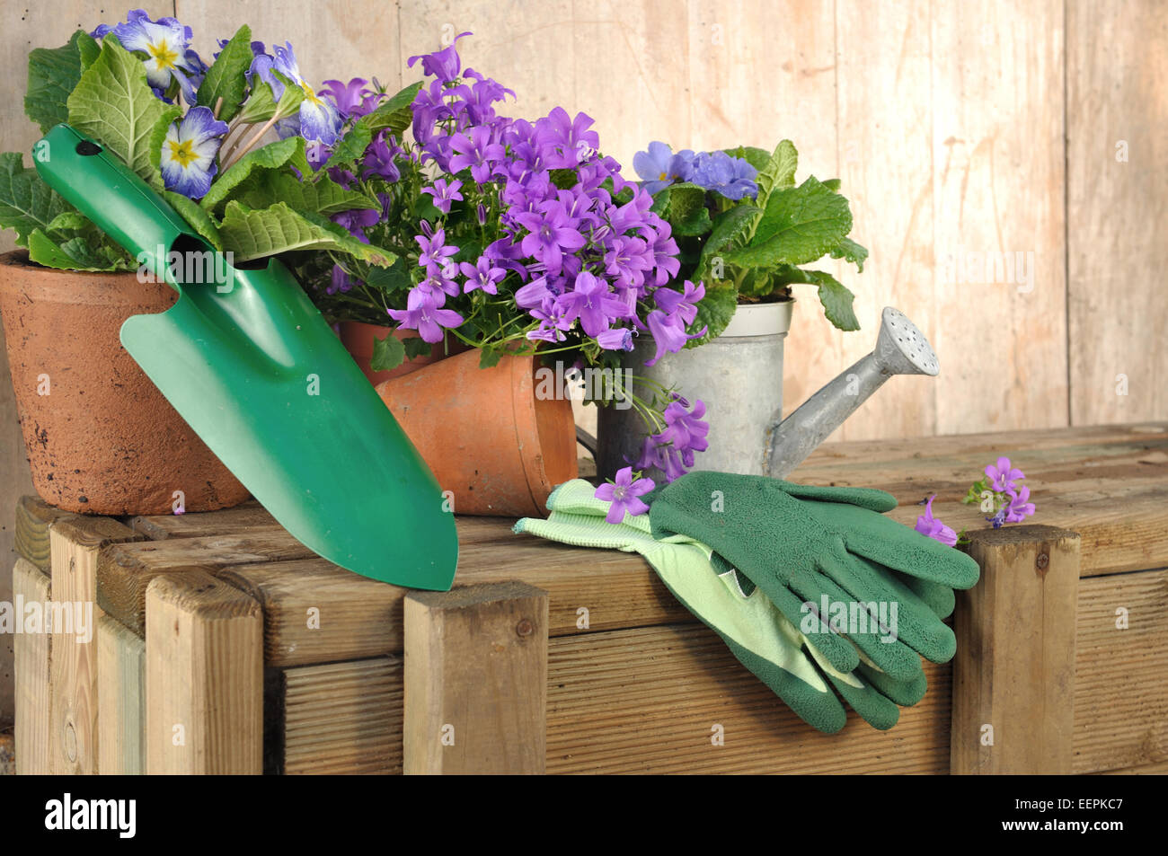 Pot de fleurs et accessoires de jardinage sur fond de bois Banque D'Images