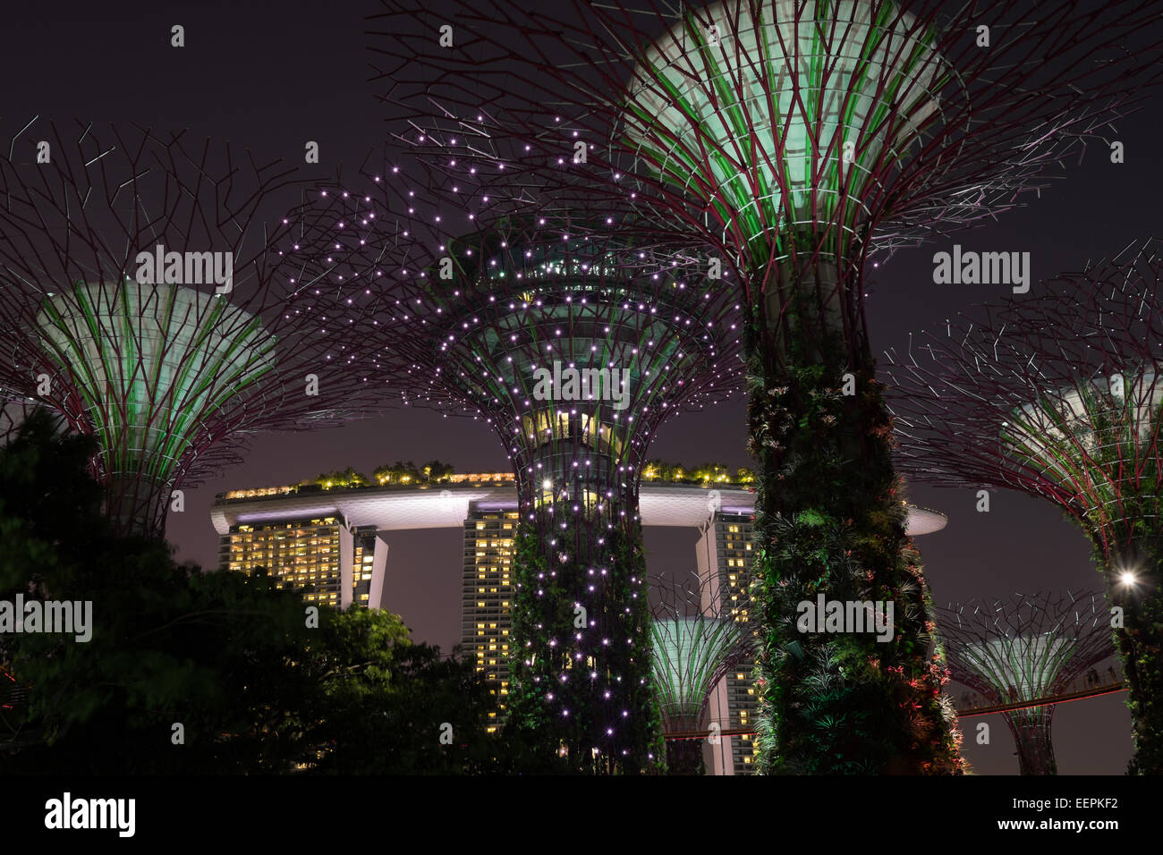 Gardens by the Bay Tree Grove et Super, Marina Bay, Singapour. Marina Bay Sands Hotel and Casino. Banque D'Images